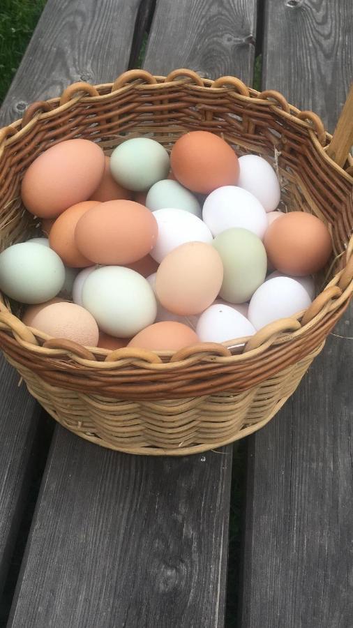Ferienhof Weber Nieratz Wangen im Allgaeu Bagian luar foto