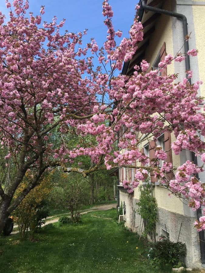 Ferienhof Weber Nieratz Wangen im Allgaeu Bagian luar foto