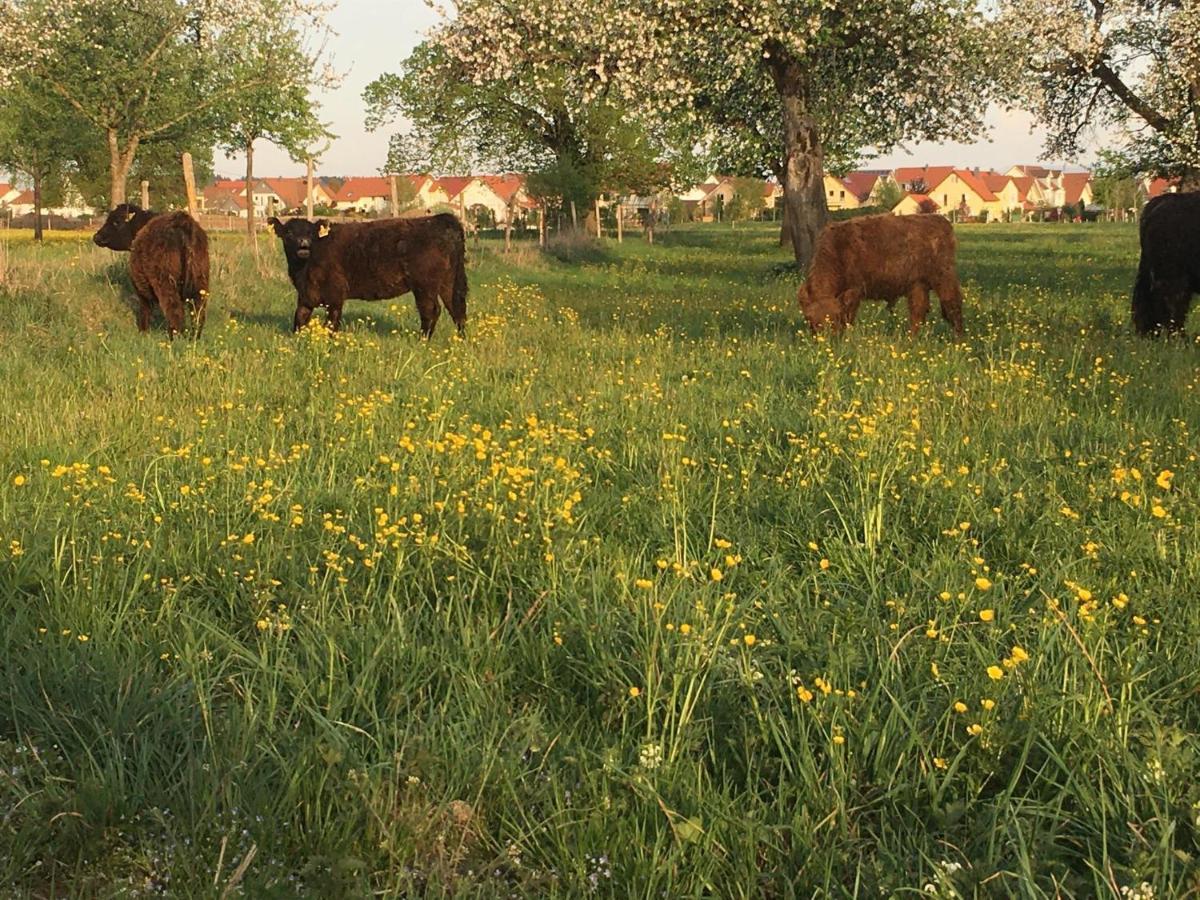 Ferienhof Weber Nieratz Wangen im Allgaeu Bagian luar foto