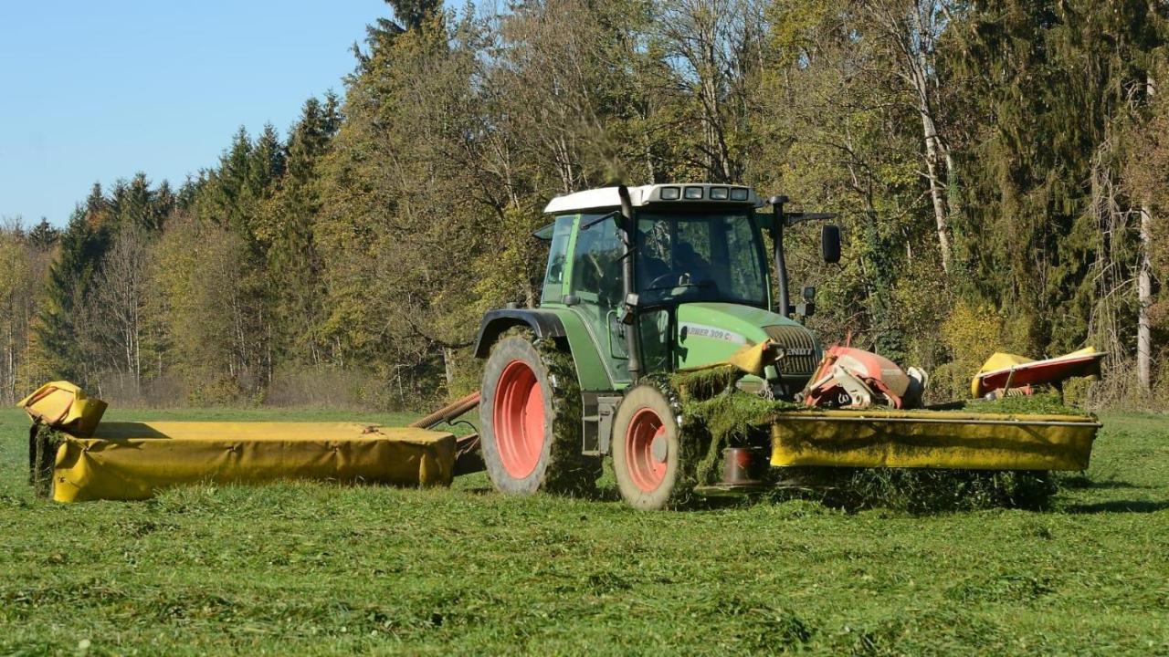Ferienhof Weber Nieratz Wangen im Allgaeu Bagian luar foto