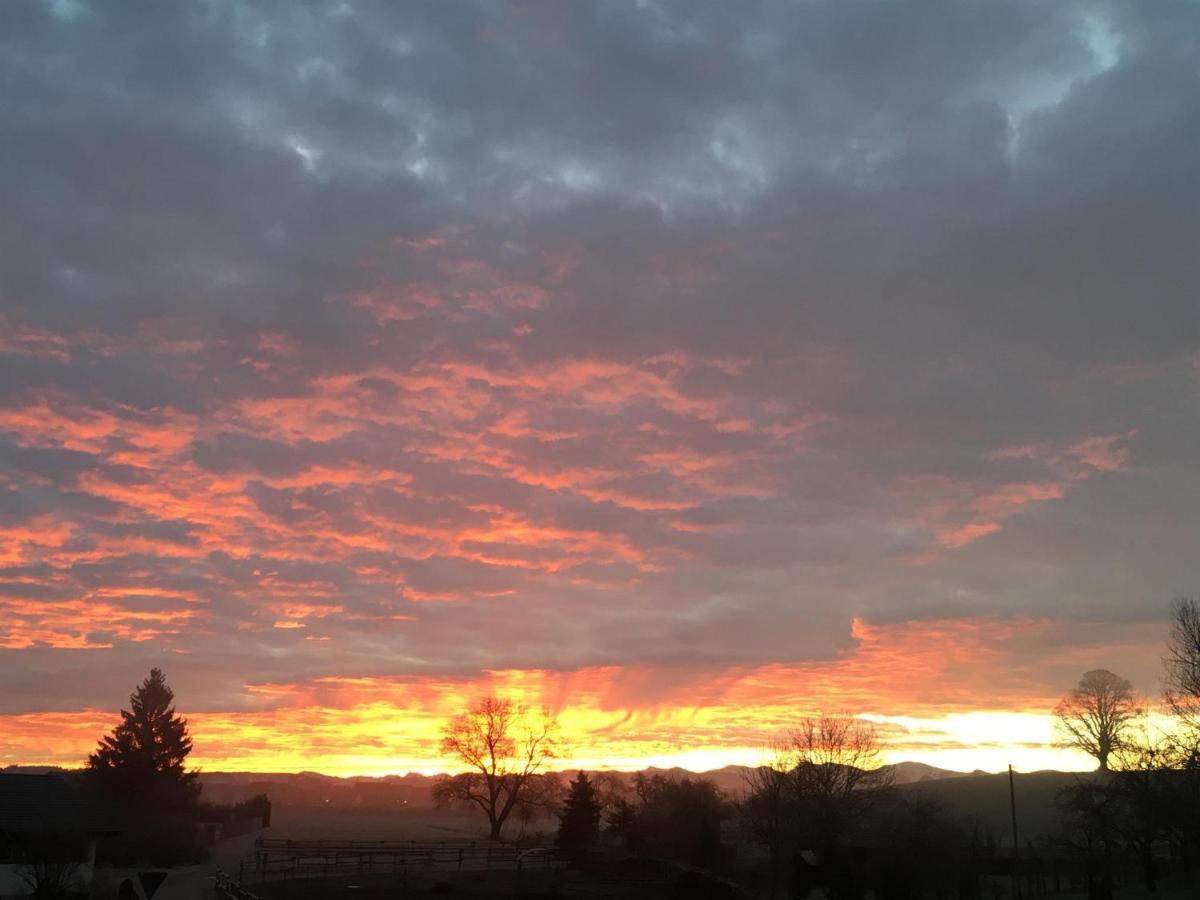 Ferienhof Weber Nieratz Wangen im Allgaeu Bagian luar foto