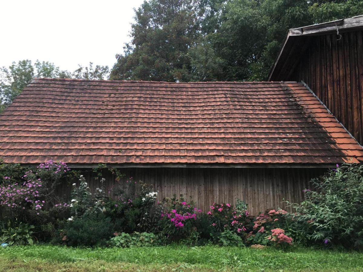 Ferienhof Weber Nieratz Wangen im Allgaeu Bagian luar foto