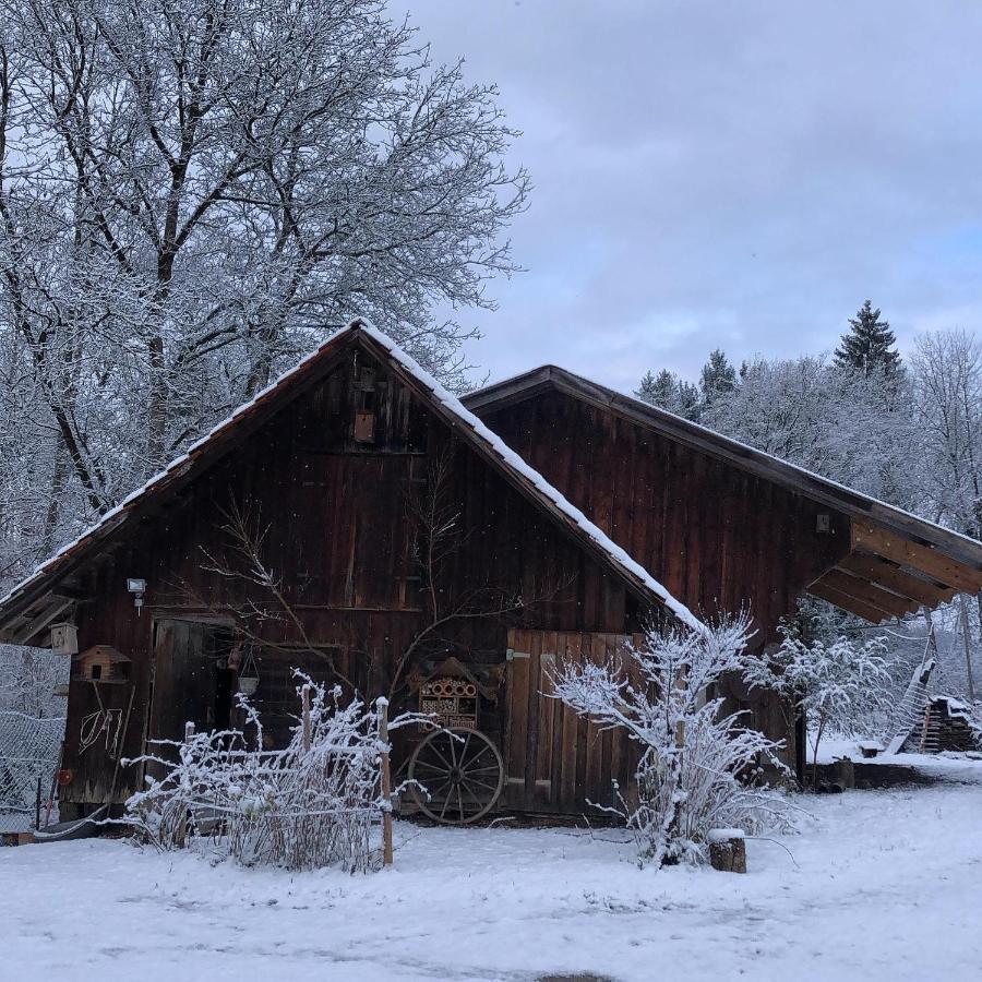 Ferienhof Weber Nieratz Wangen im Allgaeu Bagian luar foto