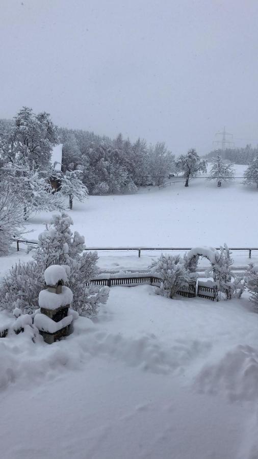 Ferienhof Weber Nieratz Wangen im Allgaeu Bagian luar foto