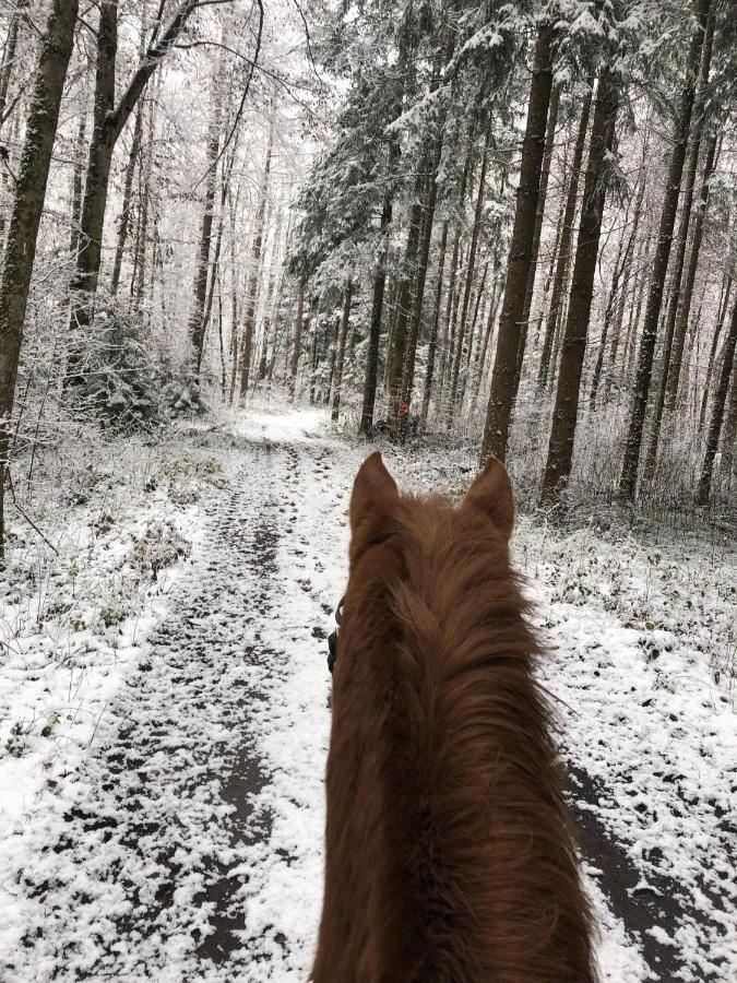 Ferienhof Weber Nieratz Wangen im Allgaeu Bagian luar foto